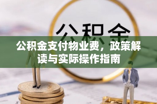 右江公积金支付物业费，政策解读与实际操作指南