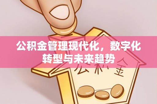 右江公积金管理现代化，数字化转型与未来趋势