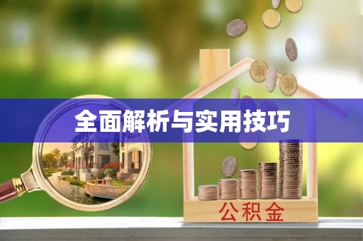 右江全面解析与实用技巧