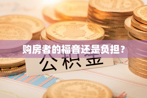 右江购房者的福音还是负担？