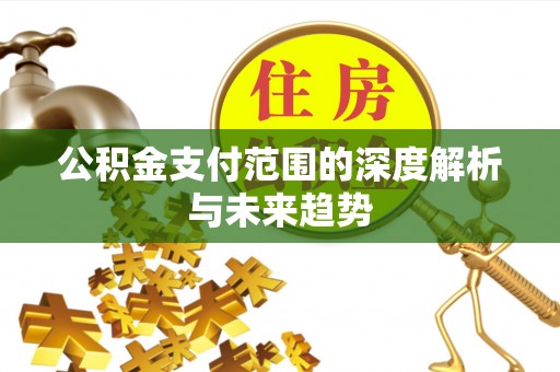 右江公积金支付范围的深度解析与未来趋势