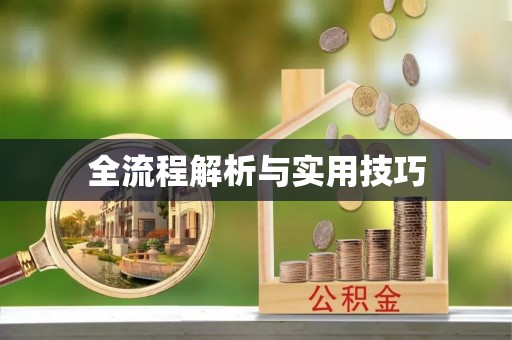 右江全流程解析与实用技巧