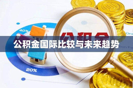 右江公积金国际比较与未来趋势