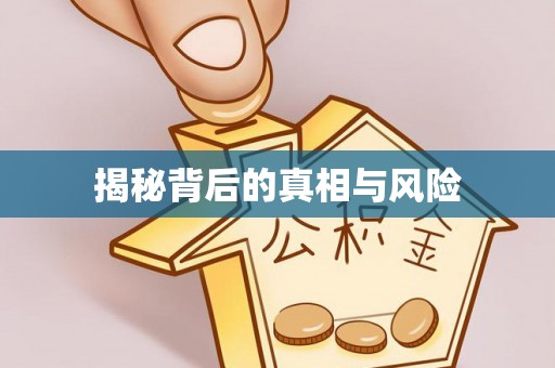 右江揭秘背后的真相与风险