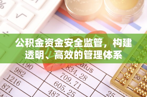 右江公积金资金安全监管，构建透明、高效的管理体系
