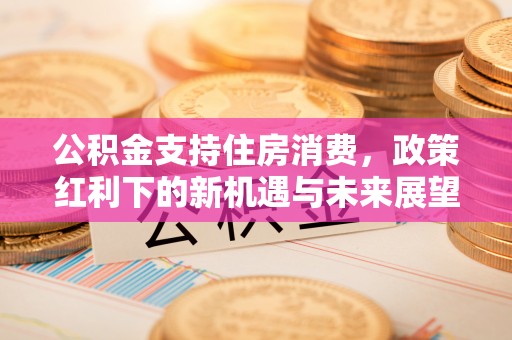 右江公积金支持住房消费，政策红利下的新机遇与未来展望