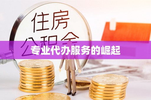 右江专业代办服务的崛起