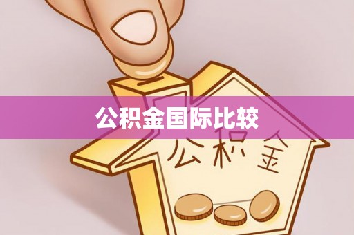 右江公积金国际比较