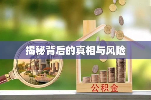 右江揭秘背后的真相与风险