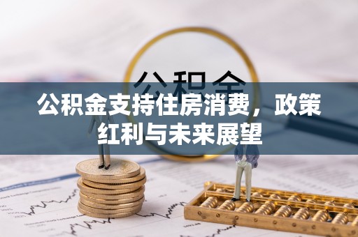 右江公积金支持住房消费，政策红利与未来展望
