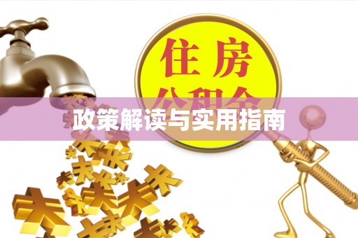右江政策解读与实用指南