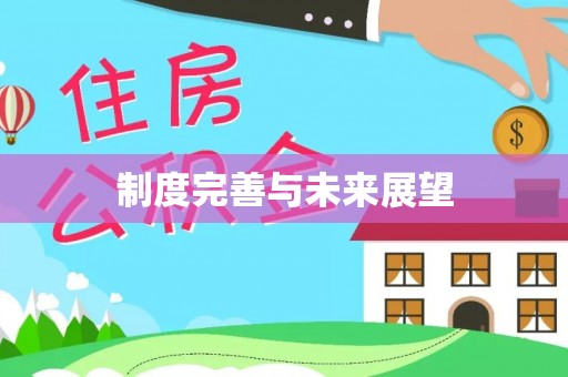 右江制度完善与未来展望