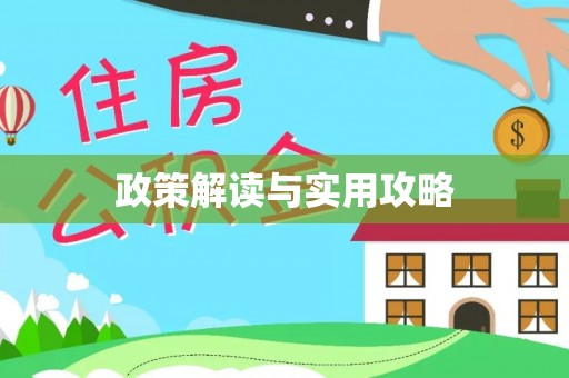 右江政策解读与实用攻略