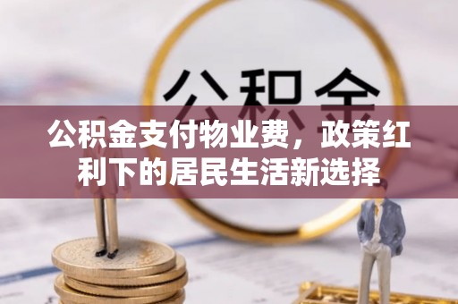 右江公积金支付物业费，政策红利下的居民生活新选择