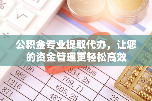 右江公积金专业提取代办，让您的资金管理更轻松高效