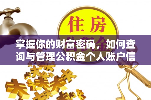 右江掌握你的财富密码，如何查询与管理公积金个人账户信息