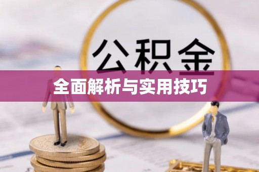 右江全面解析与实用技巧