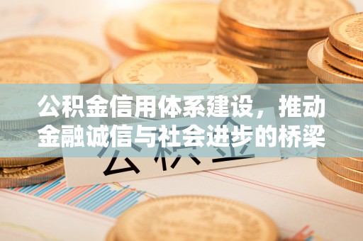 右江公积金信用体系建设，推动金融诚信与社会进步的桥梁