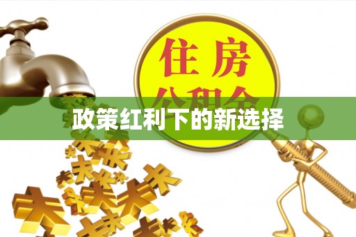 右江政策红利下的新选择