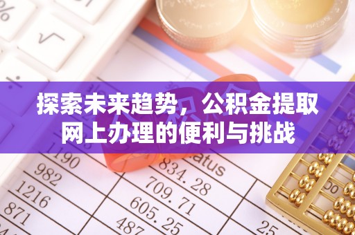 右江探索未来趋势，公积金提取网上办理的便利与挑战
