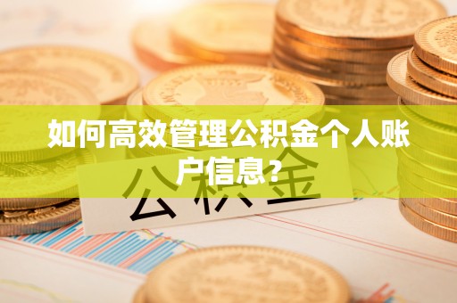 右江如何高效管理公积金个人账户信息？