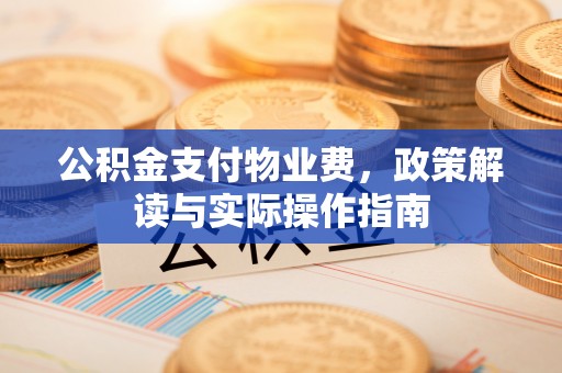 右江公积金支付物业费，政策解读与实际操作指南
