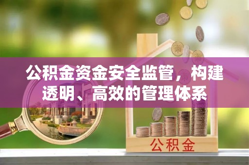 右江公积金资金安全监管，构建透明、高效的管理体系