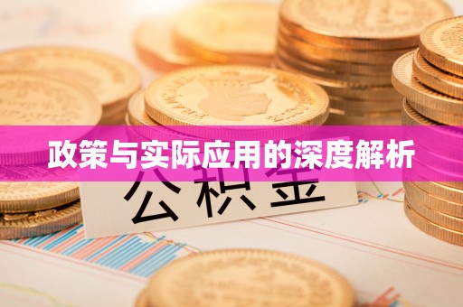 右江政策与实际应用的深度解析