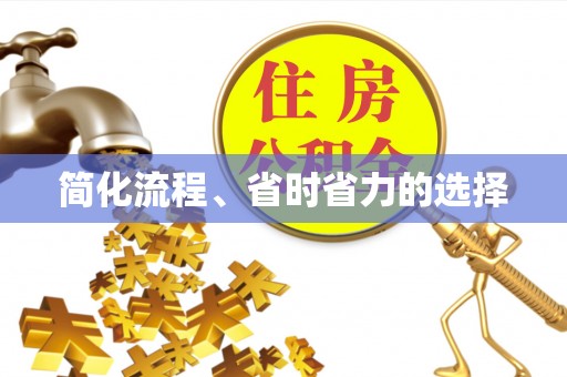 右江简化流程、省时省力的选择