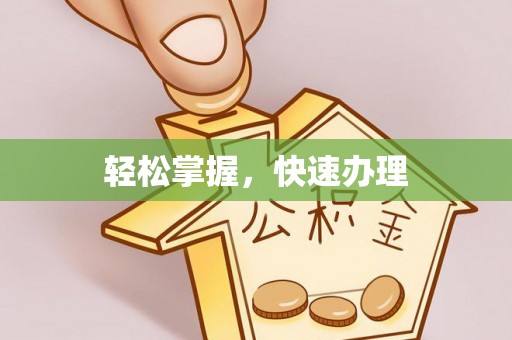 右江轻松掌握，快速办理