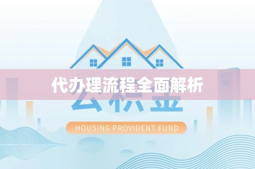 右江代办理流程全面解析