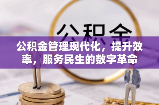 右江公积金管理现代化，提升效率，服务民生的数字革命