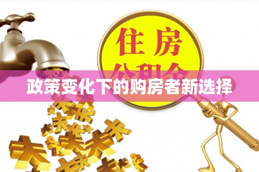 右江政策变化下的购房者新选择