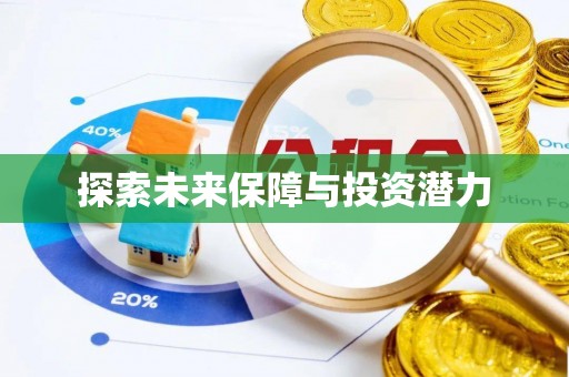 右江探索未来保障与投资潜力