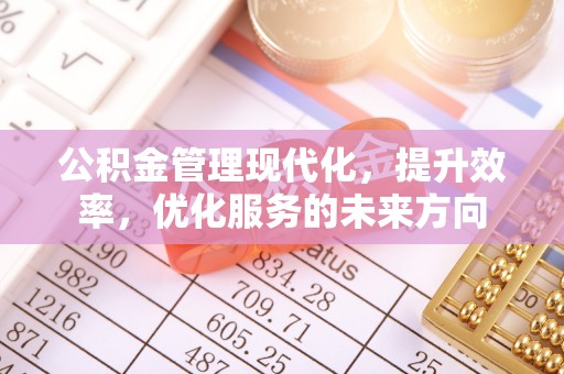 右江公积金管理现代化，提升效率，优化服务的未来方向