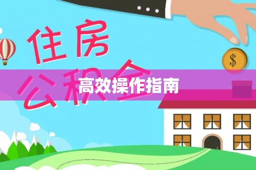 右江高效操作指南