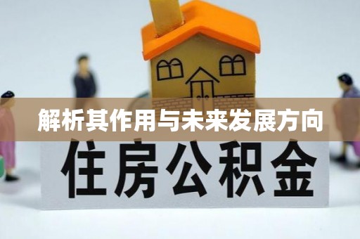 右江解析其作用与未来发展方向