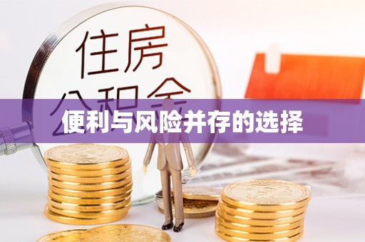右江便利与风险并存的选择