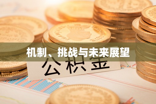 右江机制、挑战与未来展望