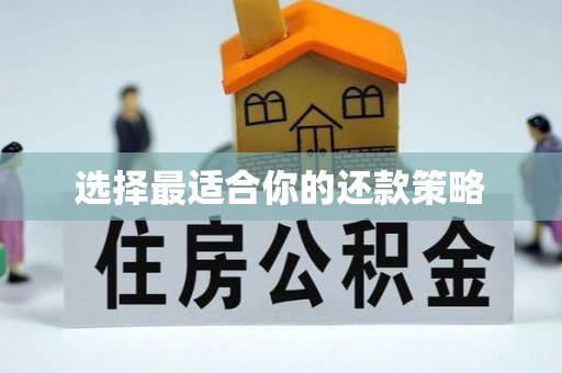 右江选择最适合你的还款策略