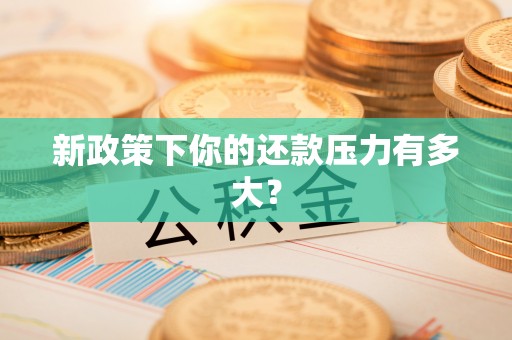 右江新政策下你的还款压力有多大？