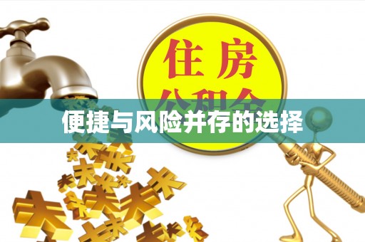 右江便捷与风险并存的选择