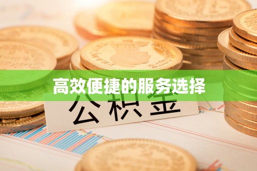 右江高效便捷的服务选择