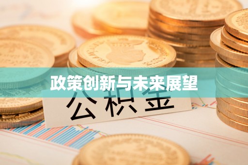 右江政策创新与未来展望