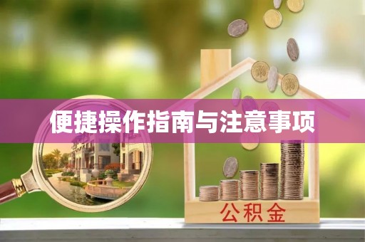 右江便捷操作指南与注意事项