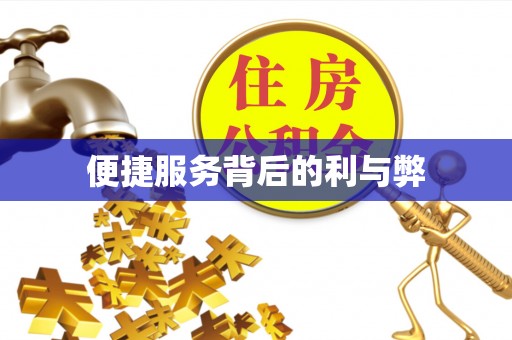 右江便捷服务背后的利与弊