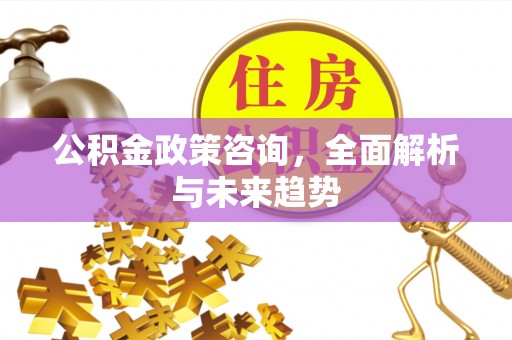 右江公积金政策咨询，全面解析与未来趋势