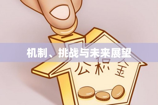 右江机制、挑战与未来展望